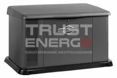 Газовый генератор Briggs & Stratton G110 В кожухе Briggs&Stratton Vanguard V-TWIN trustenergo.ru Газовый генератор Briggs & Stratton G110 В кожухе Briggs&Stratton Vanguard V-TWIN trustenergo.ru