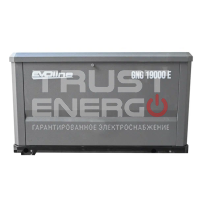 Газовый генератор EVOline GNG19000E В кожухе RATO R999D trustenergo.ru